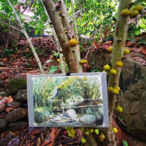 watercolor hang on tree